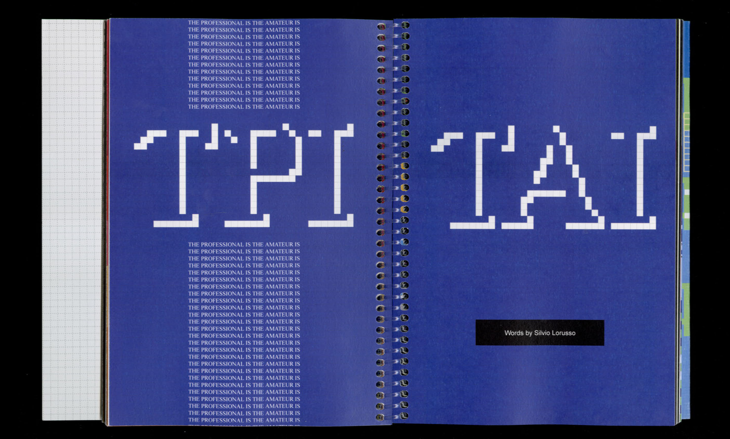 The Professional Is The Amateur Is The Professional